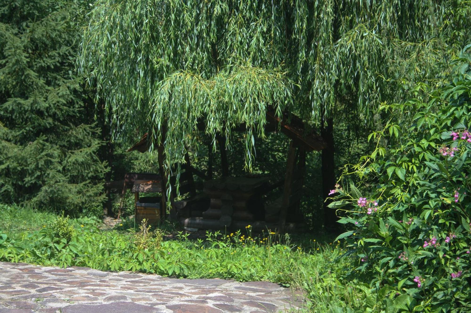 Zarinok Hotel Pilipets