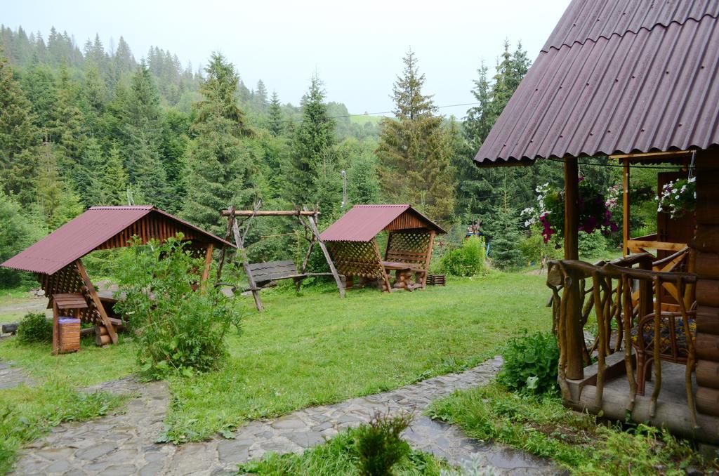 Zarinok