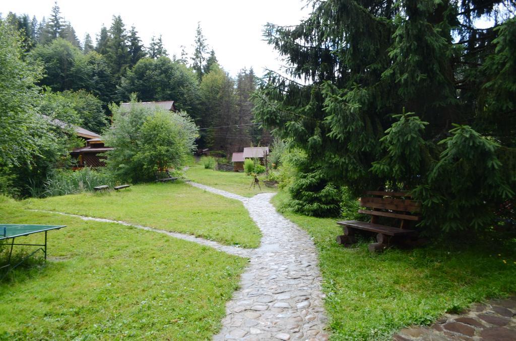 Hotel Zarinok 3*