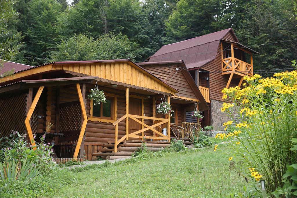 Hotel Zarinok 3*